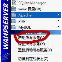 WAMP Server