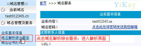 点域名解析综合服务进入